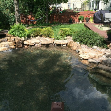 Bartlett pond to swimming pond