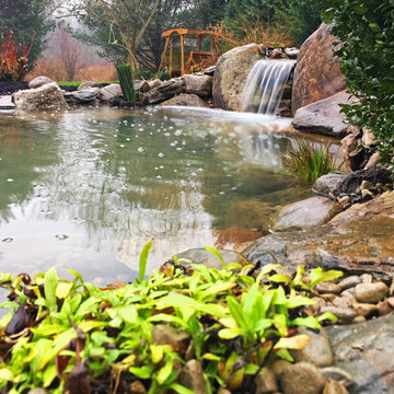 Winter Pond Build