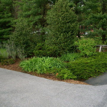 Project Area Before Construction