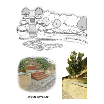 Water-wise Lawn Alternatives
