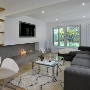 Oakville Renovation