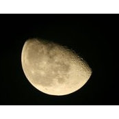 Ryan Braumann's photo