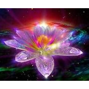 Foto von Joyful Lotus