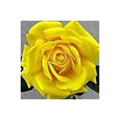 Ardie Weimer's photo