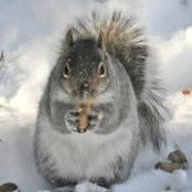 Melissa Milligan's photo
