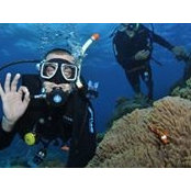 Alessandro De Vincenzis's photo