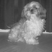 Michelle Hall's photo