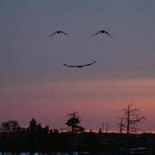 Jeanne Young's photo