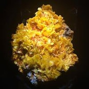 Mary Juneau's photo