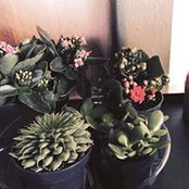 Faith Gray's photo