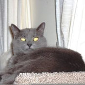Judy Johnson's photo
