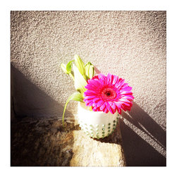 ART&DESIGN_styling for magazines - Productos