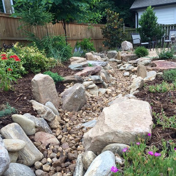 Dry creek bed.