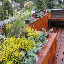 Deck/Patio