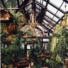 Greenhouse