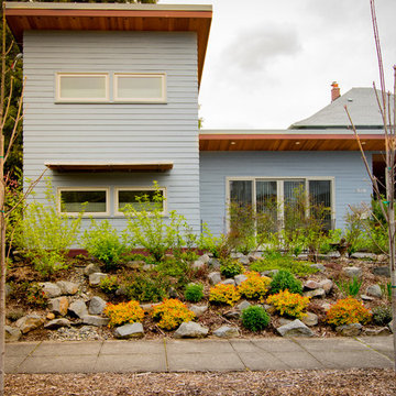 SE Portland - Rain Gardens - Blossom