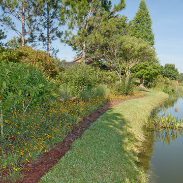 Suburban Lakeside Garden