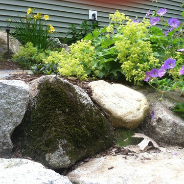 Aged Boulders and Plantings