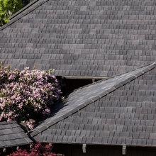 Roof ideas