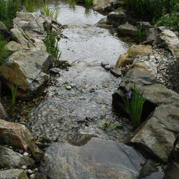 Natural swim pond