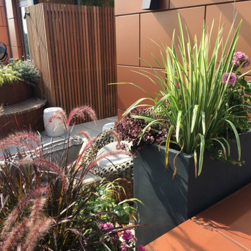 Cobble Hill Rooftop & Pergola