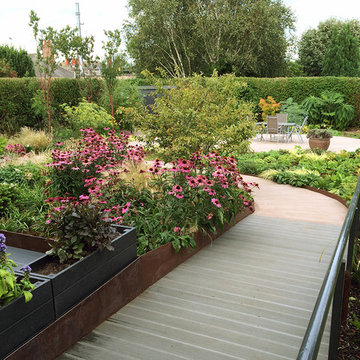 Echinacea planting along ramp