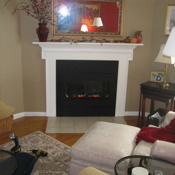 Gas fireplace inserts