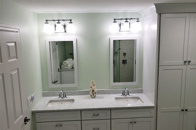 Example of a bathroom design in Chicago