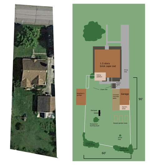 Too much going on in backyard Help!