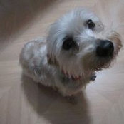 Marlene Laramie's photo