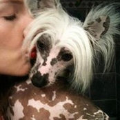 Lacey Saint Pe''s photo