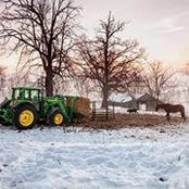 Jana Baraks's photo