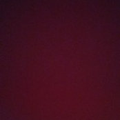 Foto von Rose