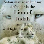 Cindy Dalton's photo