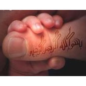 Mohamed Abdulsalam's photo
