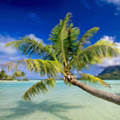 Lisa Moniz's photo