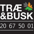 TRÆ & BUSKs profilbillede