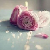 Foto von Khulood Al Sadiq