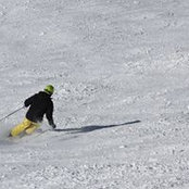 Pierre Savoie's photo