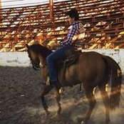 Alejandro Guitron's photo