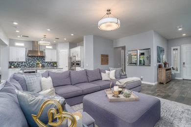 Living Rooms