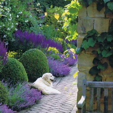 Expert Hand Pruning