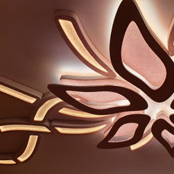 Lighted ceiling - Ceiling Lighting