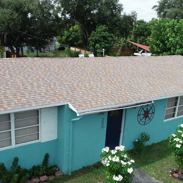 Asphalt Shingle Roof