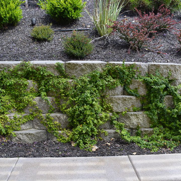Waterfalls to Pergola's
