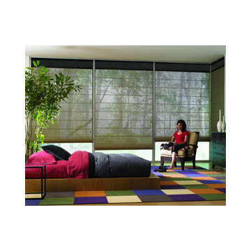 Screen & Roller Shades