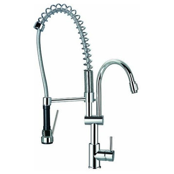 Single Lever Kitchen Faucet with Pull-Down Spout