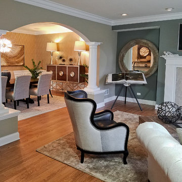 Whole House Remodel, Palatine IL