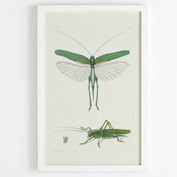 A Great Leap Forward Wall Art - Green Locust - Artwork