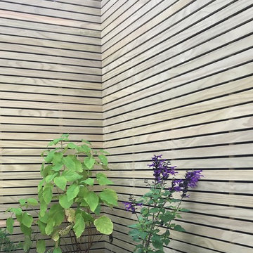 Courtyard Garden in Wandsworth
